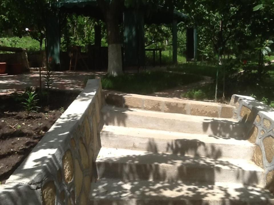Pension Garofita Iasi Bagian luar foto